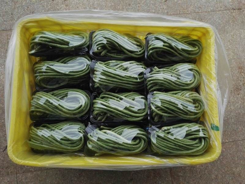 夏季豇豆受熱捧 專(zhuān)家支招省工又高產(chǎn)