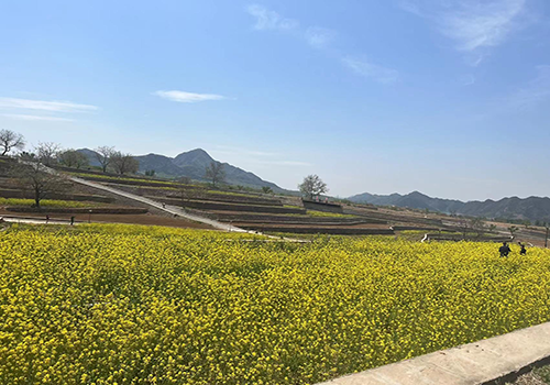 城鄉(xiāng)互融、月月有景——第十三屆北京農(nóng)田觀光季開季